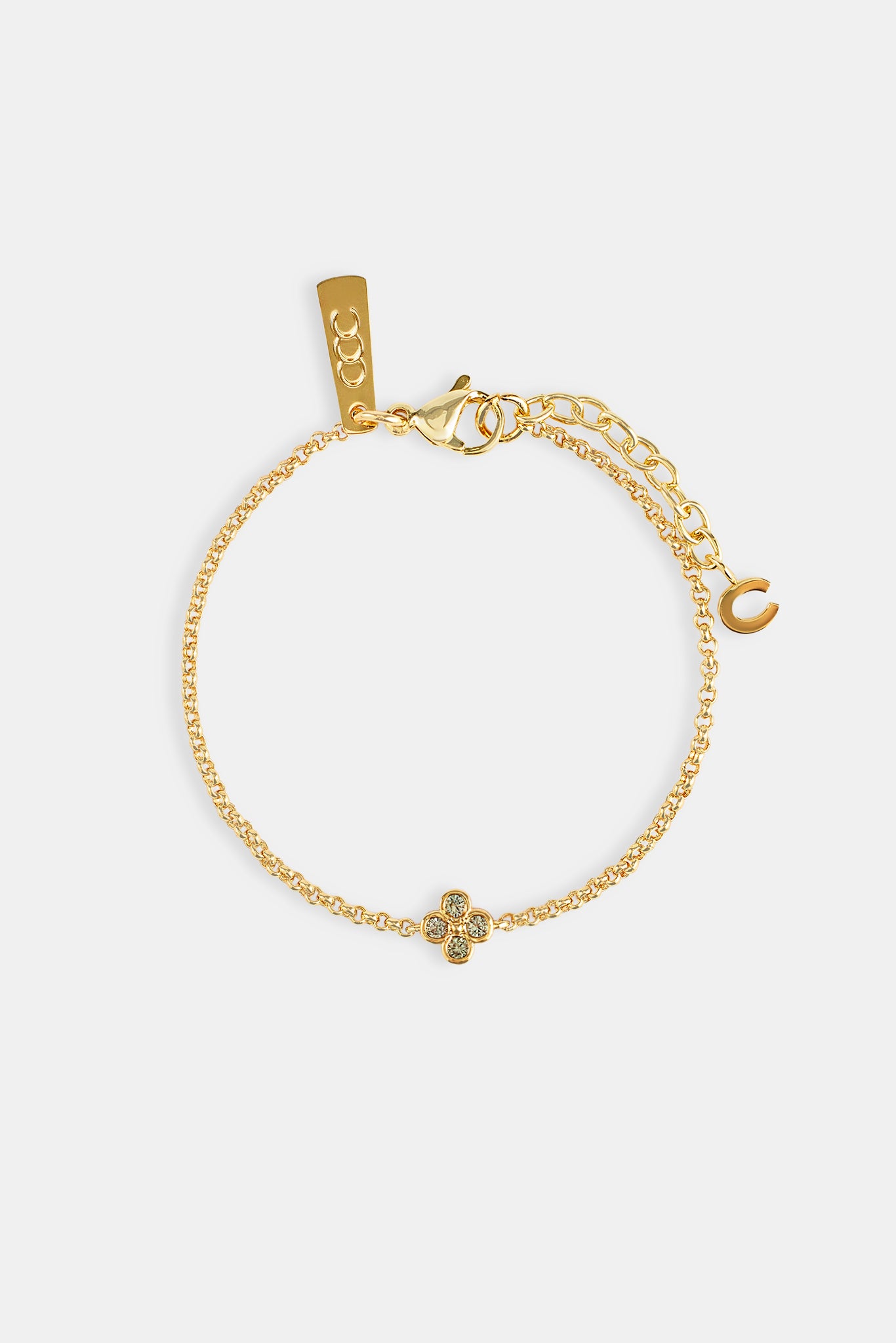 Rolo-Armband mit eisgrünem Motiv – 6 mm – Gold