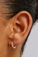 Polished & Iced Huggie Earrings - 12mm - Gold