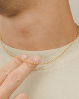 3mm Rolo Link Chain - Gold